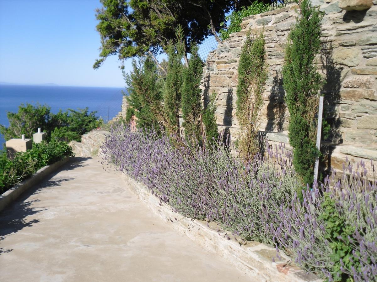 Aegean Castle Andros - Adults Only Aparthotel Agia Eleousa Exterior foto